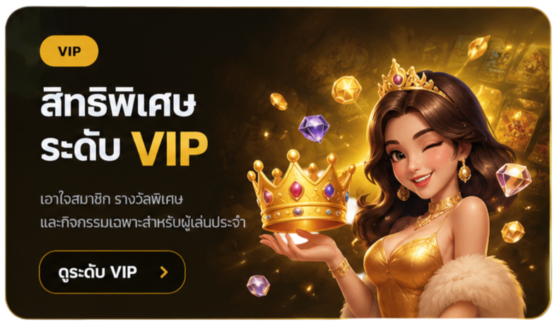 สิทธิพิเศษ VIP
